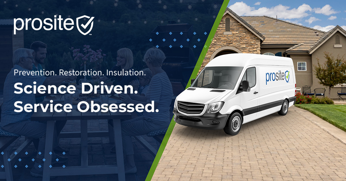 A Comprehensive Guide To Effective Silverfish Control In Yakima County