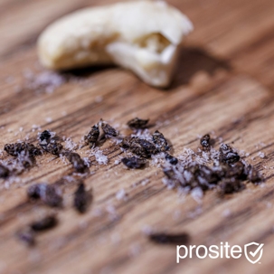 rodent droppings in a cabinet