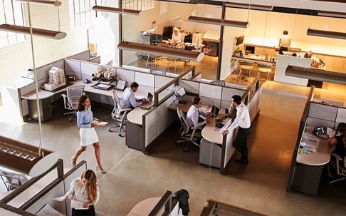 office commercial pest control