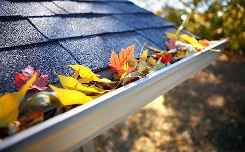 leaves in gutter of a yakima county wa home